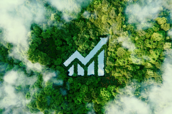 Lake in the shape of an upwards tending arrow in the middle of a forrest representing organic growth on TikTok