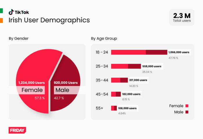 Irish TikTok User Demographics Ireland Infographic